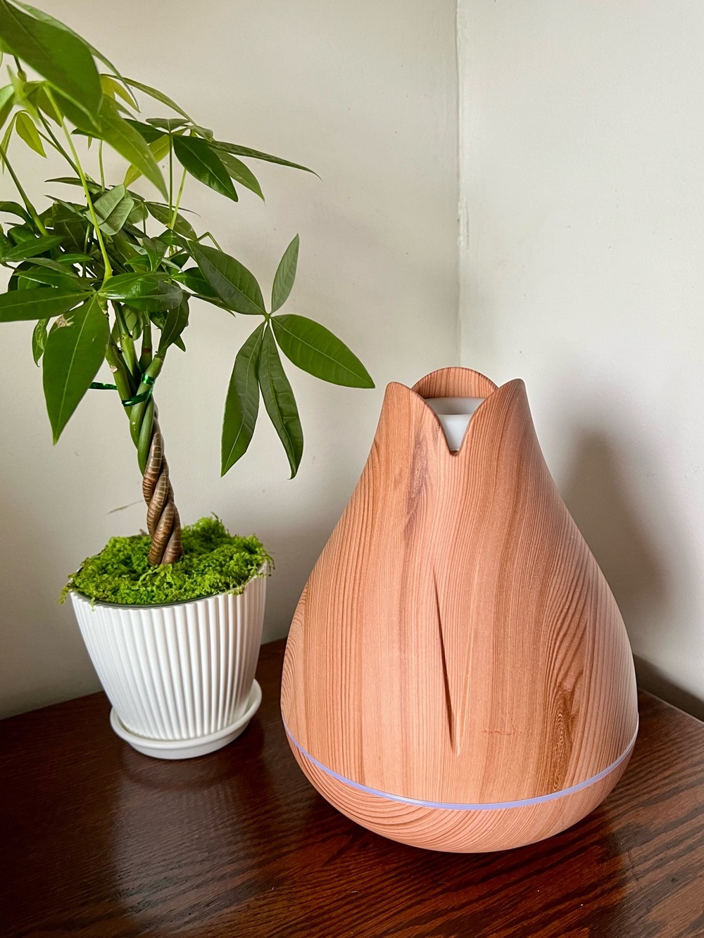 PURE DAILY CARE ULTRASONIC AROMATHERAPY ESSENTIAL OIL DIFFUSER